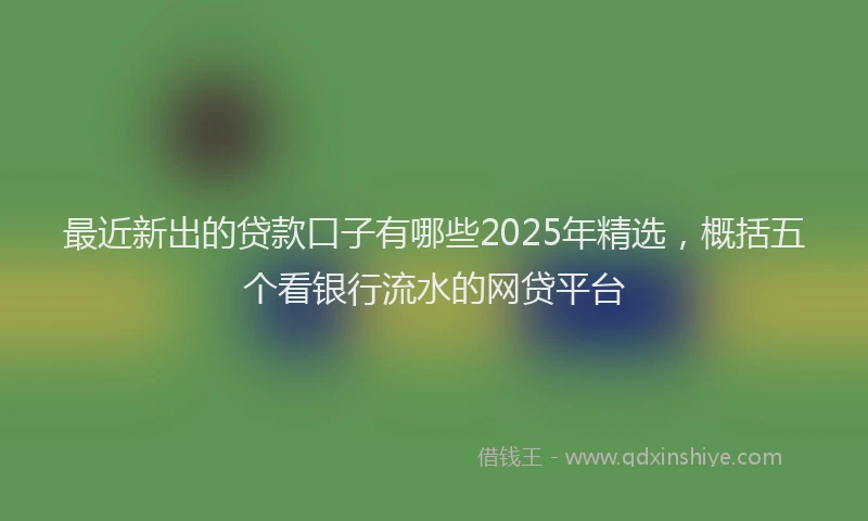 最近新出的贷款口子有哪些2025年精选，概括五个看银行流水的网贷平台