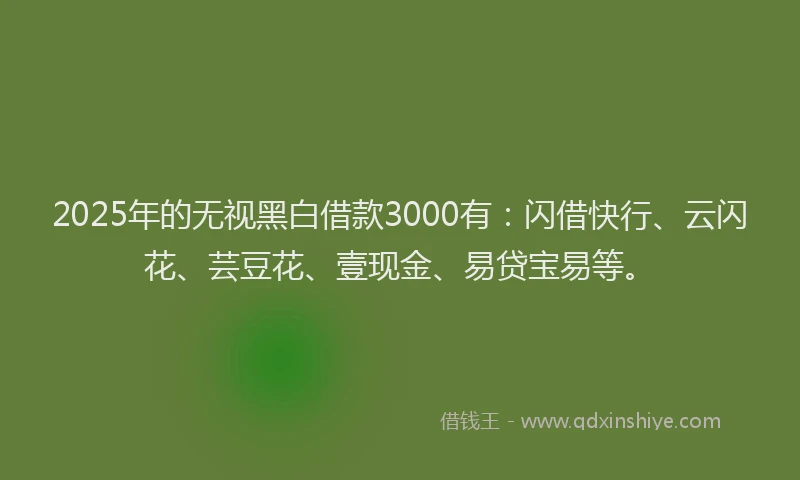 2025年的无视黑白借款3000有：闪借快行、云闪花、芸豆花、壹现金、易贷宝易等。