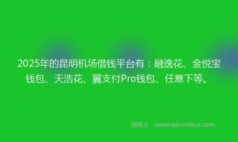 2025年的昆明机场借钱平台有：融逸花、金悦宝钱包、天浩花、翼支付Pro钱包、任意下等。