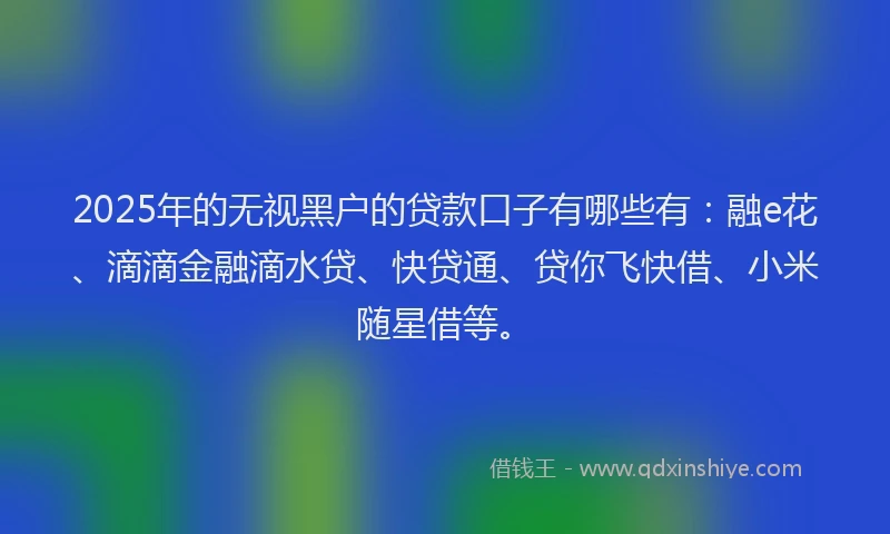2025年的无视黑户的贷款口子有哪些有：融e花、滴滴金融滴水贷、快贷通、贷你飞快借、小米随星借等。