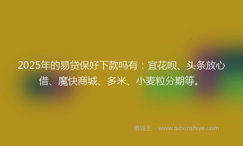 2025年的易贷保好下款吗有：宜花呗、头条放心借、魔快商城、多米、小麦粒分期等。