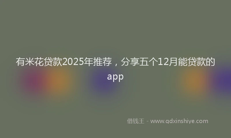 有米花贷款2025年推荐，分享五个12月能贷款的app