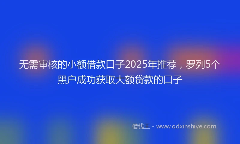 无需审核的小额借款口子2025年推荐，罗列5个黑户成功获取大额贷款的口子