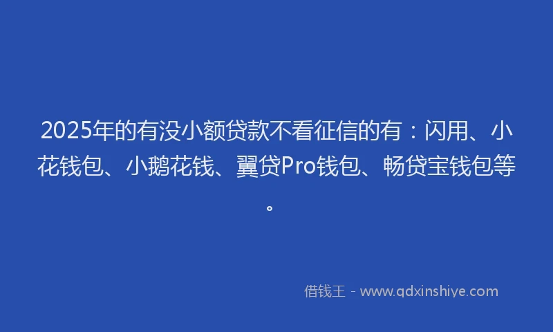 2025年的有没小额贷款不看征信的有：闪用、小花钱包、小鹅花钱、翼贷Pro钱包、畅贷宝钱包等。