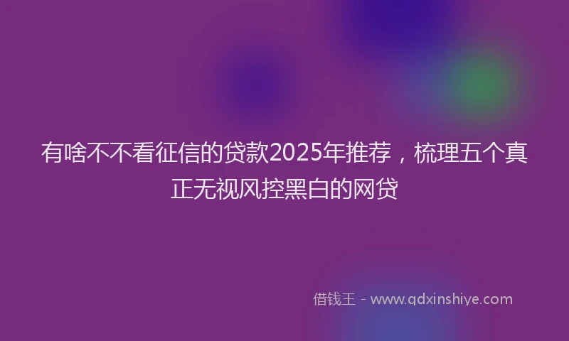 有啥不不看征信的贷款2025年推荐，梳理五个真正无视风控黑白的网贷