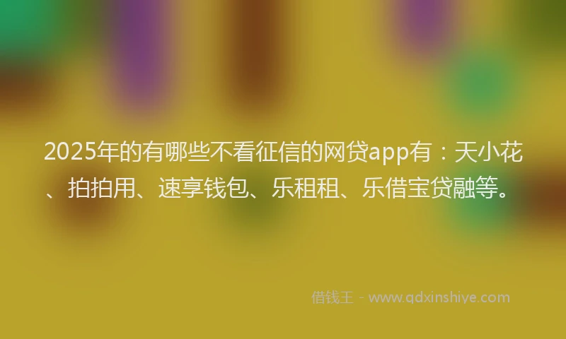 2025年的有哪些不看征信的网贷app有：天小花、拍拍用、速享钱包、乐租租、乐借宝贷融等。
