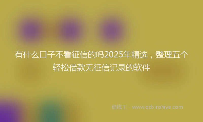 有什么口子不看征信的吗2025年精选，整理五个轻松借款无征信记录的软件