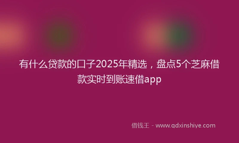有什么贷款的口子2025年精选，盘点5个芝麻借款实时到账速借app