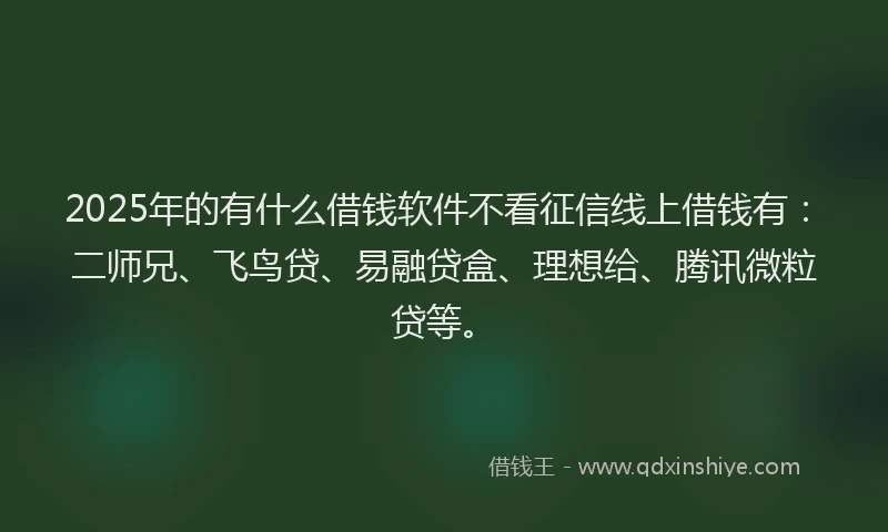 2025年的有什么借钱软件不看征信线上借钱有：二师兄、飞鸟贷、易融贷盒、理想给、腾讯微粒贷等。
