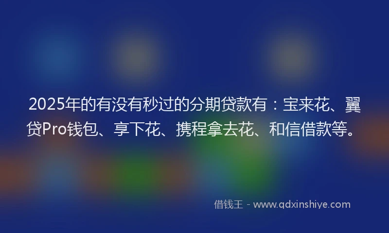 2025年的有没有秒过的分期贷款有：宝来花、翼贷Pro钱包、享下花、携程拿去花、和信借款等。