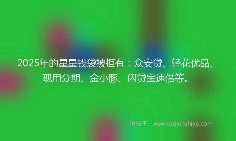 2025年的星星钱袋被拒有：众安贷、轻花优品、现用分期、金小豚、闪贷宝速借等。