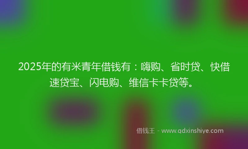 2025年的有米青年借钱有：嗨购、省时贷、快借速贷宝、闪电购、维信卡卡贷等。