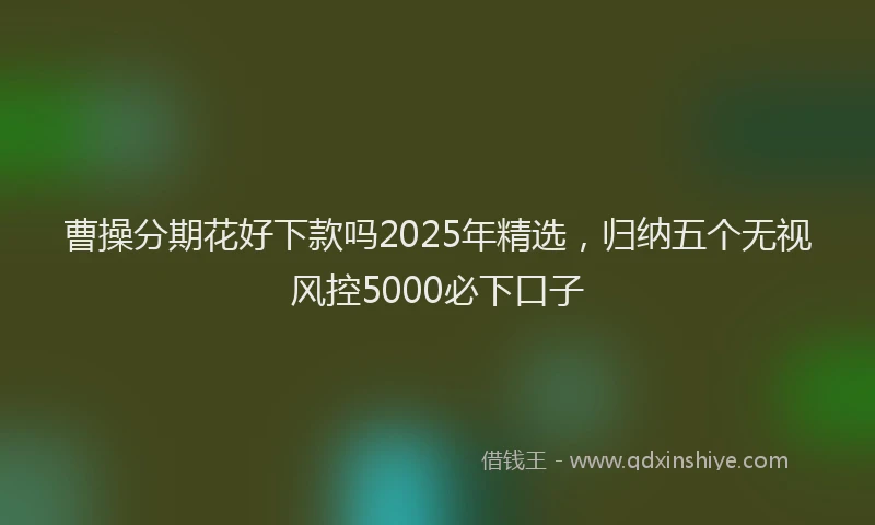 曹操分期花好下款吗2025年精选，归纳五个无视风控5000必下口子
