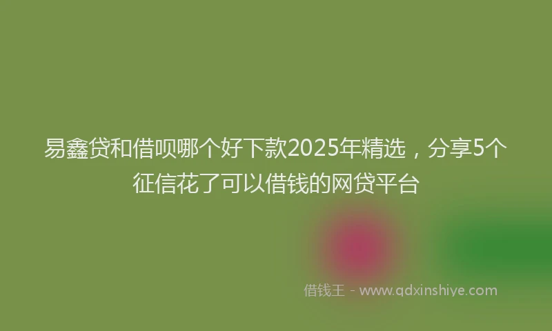 易鑫贷和借呗哪个好下款2025年精选，分享5个征信花了可以借钱的网贷平台