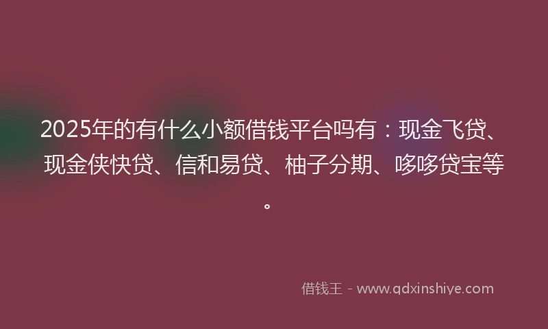 2025年的有什么小额借钱平台吗有：现金飞贷、现金侠快贷、信和易贷、柚子分期、哆哆贷宝等。