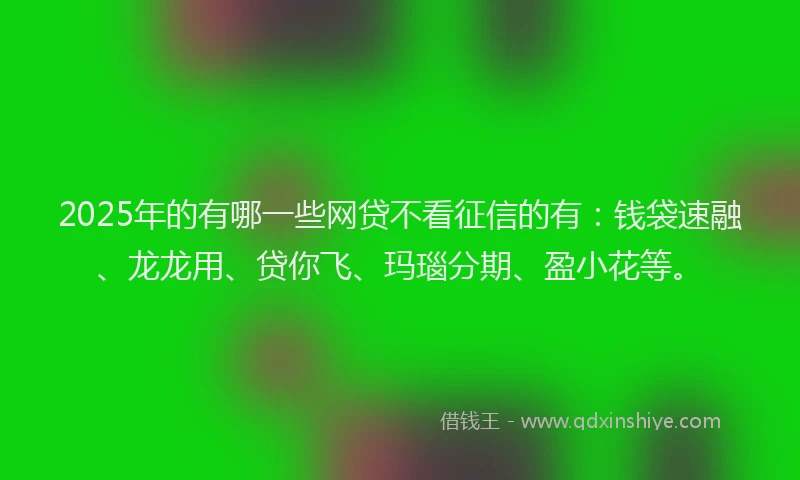 2025年的有哪一些网贷不看征信的有：钱袋速融、龙龙用、贷你飞、玛瑙分期、盈小花等。