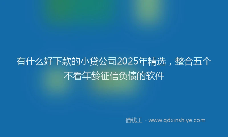 有什么好下款的小贷公司2025年精选，整合五个不看年龄征信负债的软件