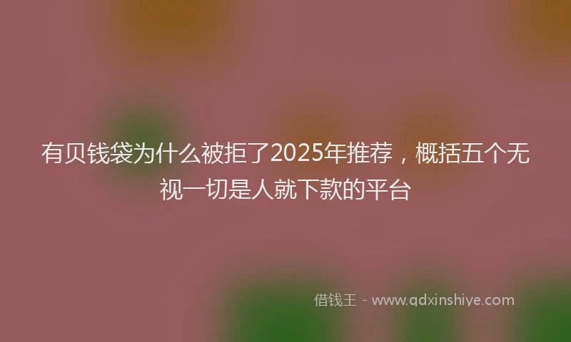 有贝钱袋为什么被拒了2025年推荐，概括五个无视一切是人就下款的平台