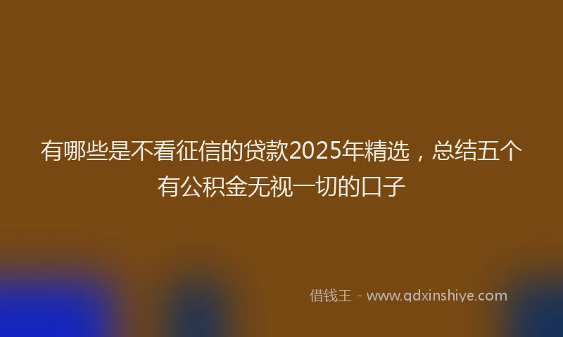 有哪些是不看征信的贷款2025年精选，总结五个有公积金无视一切的口子