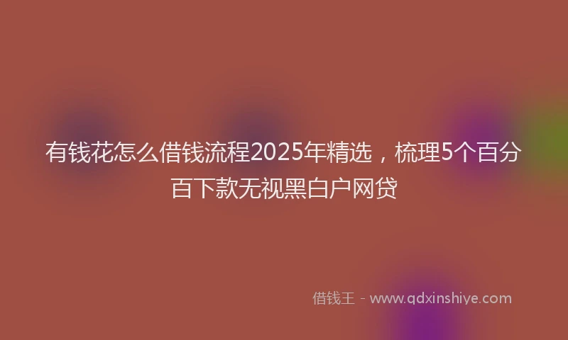 有钱花怎么借钱流程2025年精选，梳理5个百分百下款无视黑白户网贷