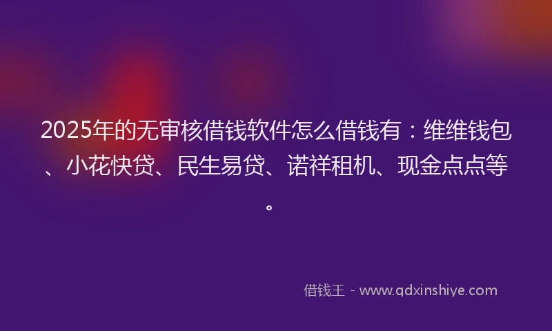 2025年的无审核借钱软件怎么借钱有：维维钱包、小花快贷、民生易贷、诺祥租机、现金点点等。