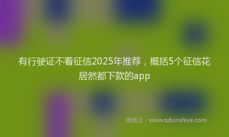 有行驶证不看征信2025年推荐，概括5个征信花居然都下款的app