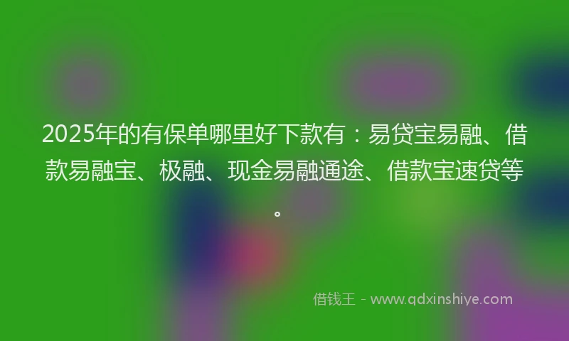 2025年的有保单哪里好下款有：易贷宝易融、借款易融宝、极融、现金易融通途、借款宝速贷等。