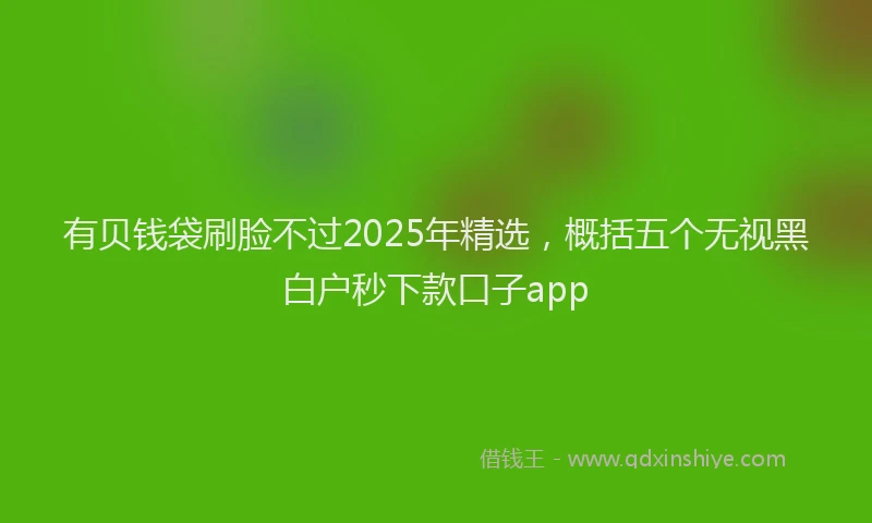 有贝钱袋刷脸不过2025年精选，概括五个无视黑白户秒下款口子app