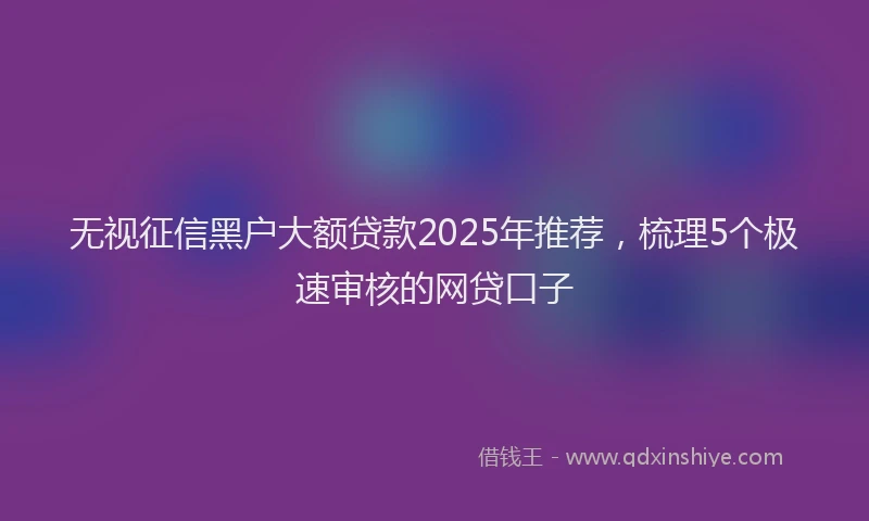 无视征信黑户大额贷款2025年推荐，梳理5个极速审核的网贷口子