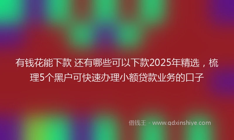 有钱花能下款 还有哪些可以下款2025年精选，梳理5个黑户可快速办理小额贷款业务的口子