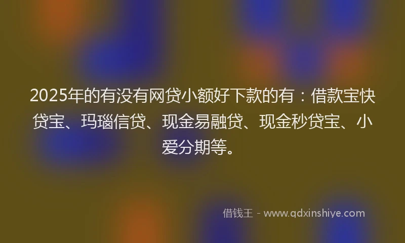 2025年的有没有网贷小额好下款的有：借款宝快贷宝、玛瑙信贷、现金易融贷、现金秒贷宝、小爱分期等。