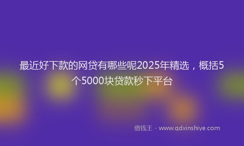 最近好下款的网贷有哪些呢2025年精选，概括5个5000块贷款秒下平台