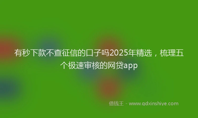 有秒下款不查征信的口子吗2025年精选，梳理五个极速审核的网贷app