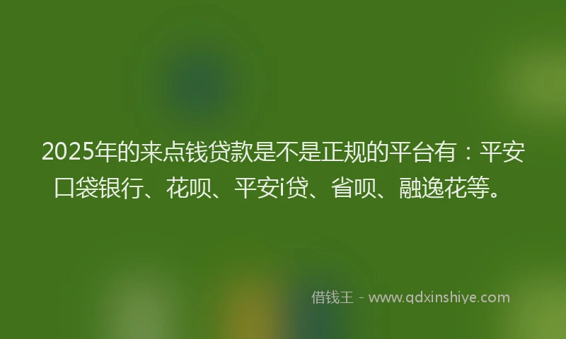 2025年的来点钱贷款是不是正规的平台有：平安口袋银行、花呗、平安i贷、省呗、融逸花等。