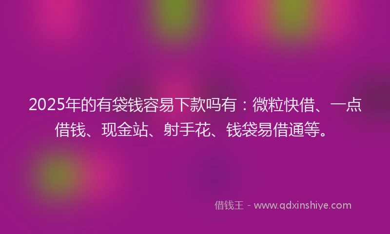 2025年的有袋钱容易下款吗有：微粒快借、一点借钱、现金站、射手花、钱袋易借通等。