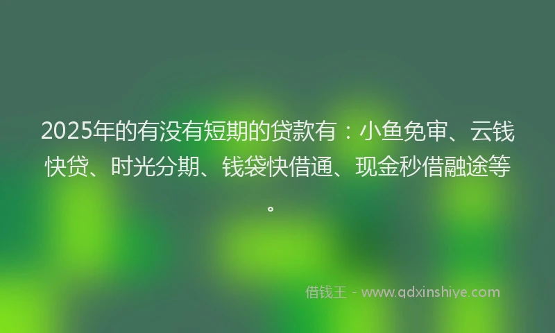 2025年的有没有短期的贷款有：小鱼免审、云钱快贷、时光分期、钱袋快借通、现金秒借融途等。