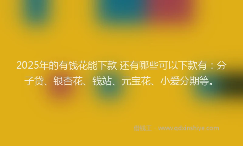 2025年的有钱花能下款 还有哪些可以下款有：分子贷、银杏花、钱站、元宝花、小爱分期等。