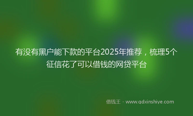 有没有黑户能下款的平台2025年推荐，梳理5个征信花了可以借钱的网贷平台