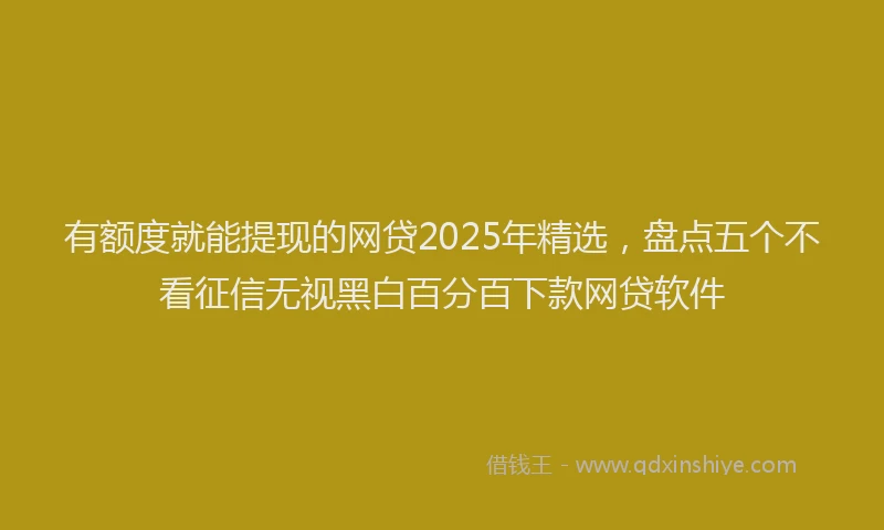 有额度就能提现的网贷2025年精选，盘点五个不看征信无视黑白百分百下款网贷软件
