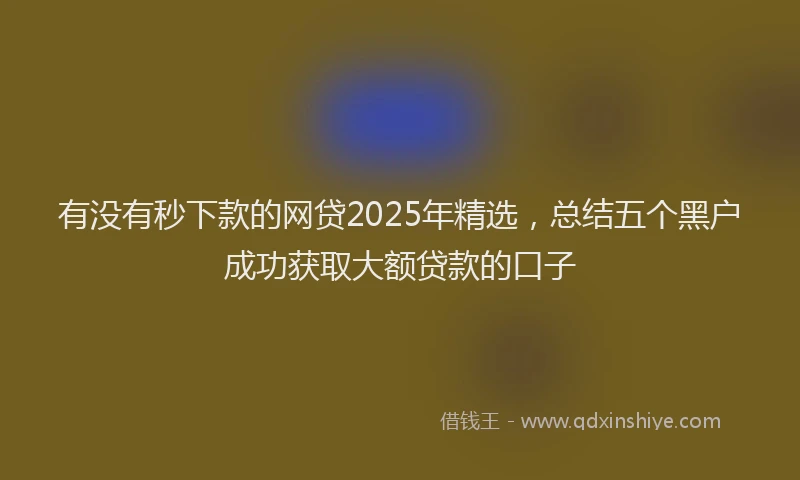 有没有秒下款的网贷2025年精选，总结五个黑户成功获取大额贷款的口子