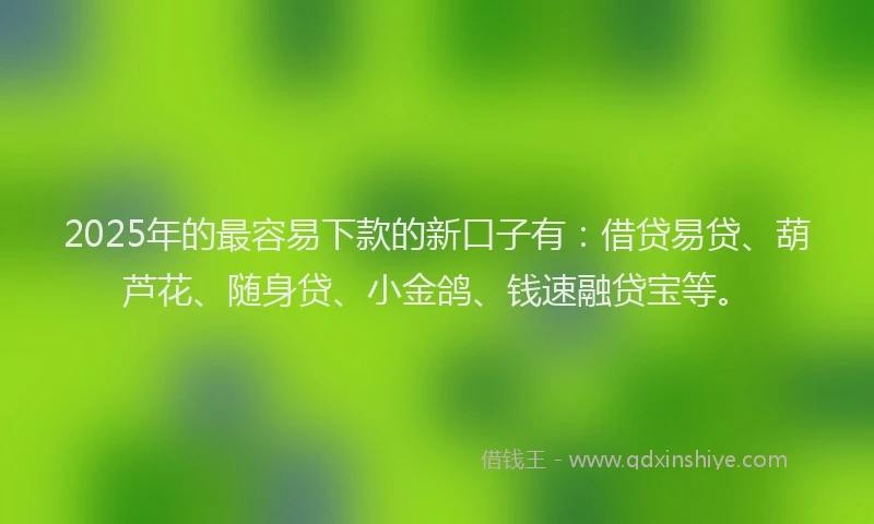 2025年的最容易下款的新口子有：借贷易贷、葫芦花、随身贷、小金鸽、钱速融贷宝等。