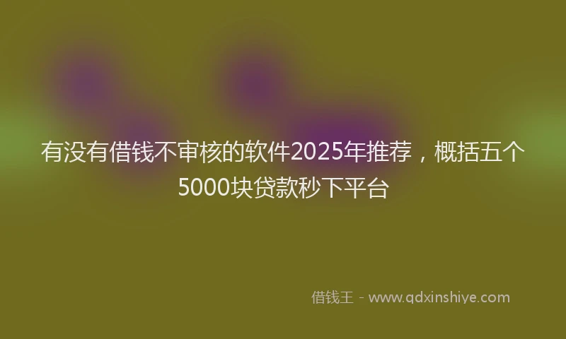 有没有借钱不审核的软件2025年推荐，概括五个5000块贷款秒下平台