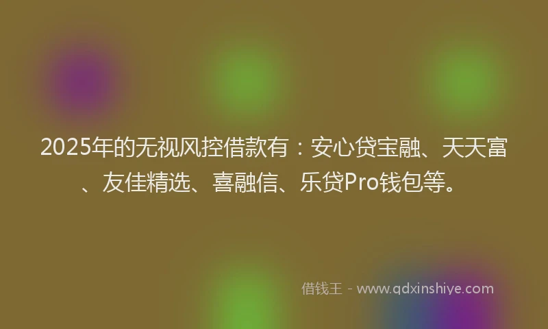 2025年的无视风控借款有：安心贷宝融、天天富、友佳精选、喜融信、乐贷Pro钱包等。
