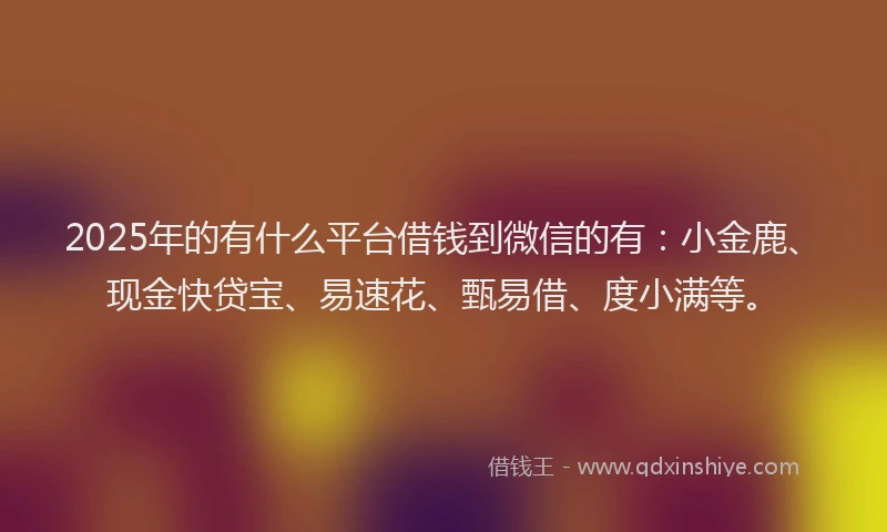 2025年的有什么平台借钱到微信的有：小金鹿、现金快贷宝、易速花、甄易借、度小满等。