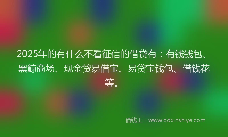 2025年的有什么不看征信的借贷有：有钱钱包、黑鲸商场、现金贷易借宝、易贷宝钱包、借钱花等。