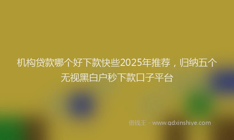 机构贷款哪个好下款快些2025年推荐，归纳五个无视黑白户秒下款口子平台