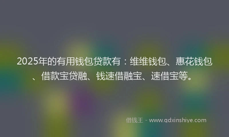 2025年的有用钱包贷款有：维维钱包、惠花钱包、借款宝贷融、钱速借融宝、速借宝等。