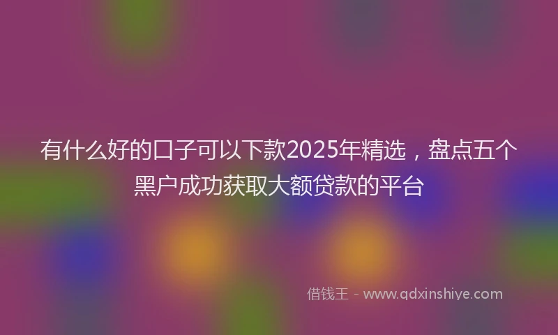有什么好的口子可以下款2025年精选，盘点五个黑户成功获取大额贷款的平台
