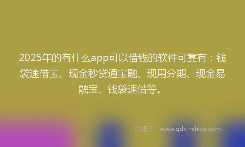 2025年的有什么app可以借钱的软件可靠有：钱袋速借宝、现金秒贷通宝融、现用分期、现金易融宝、钱袋速借等。