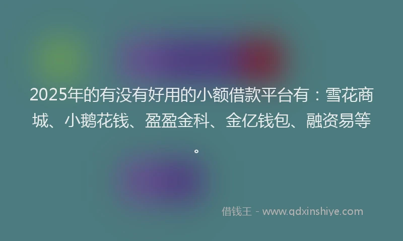 2025年的有没有好用的小额借款平台有：雪花商城、小鹅花钱、盈盈金科、金亿钱包、融资易等。